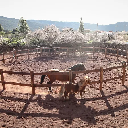 La Casona Del Patio 호텔 4*