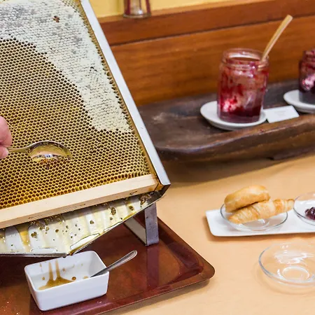 La Casona Del Patio Hotell