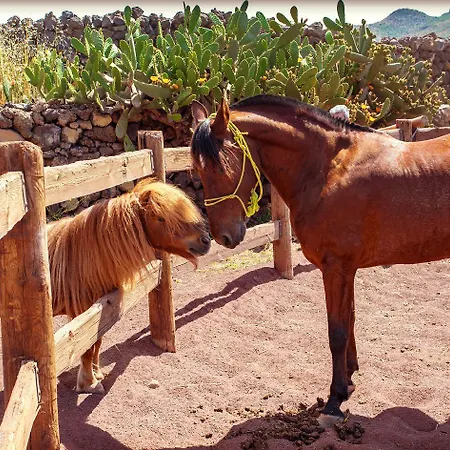 فندق La Casona Del Patio Santiago del Teide