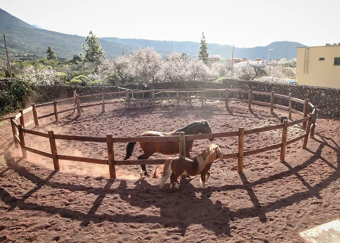 La Casona Del Patio Отель 4*