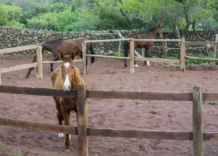 Отель La Casona Del Patio 4*