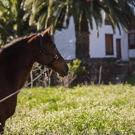 Hotel La Casona Del Patio Santiago del Teide