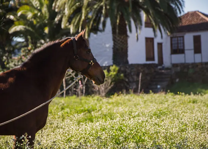 Ξενοδοχείο La Casona Del Patio Santiago del Teide